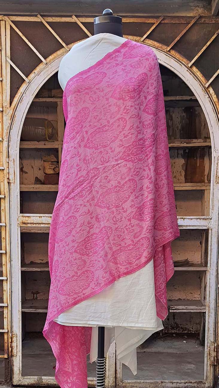 Women Pashmina Stole Self Textured