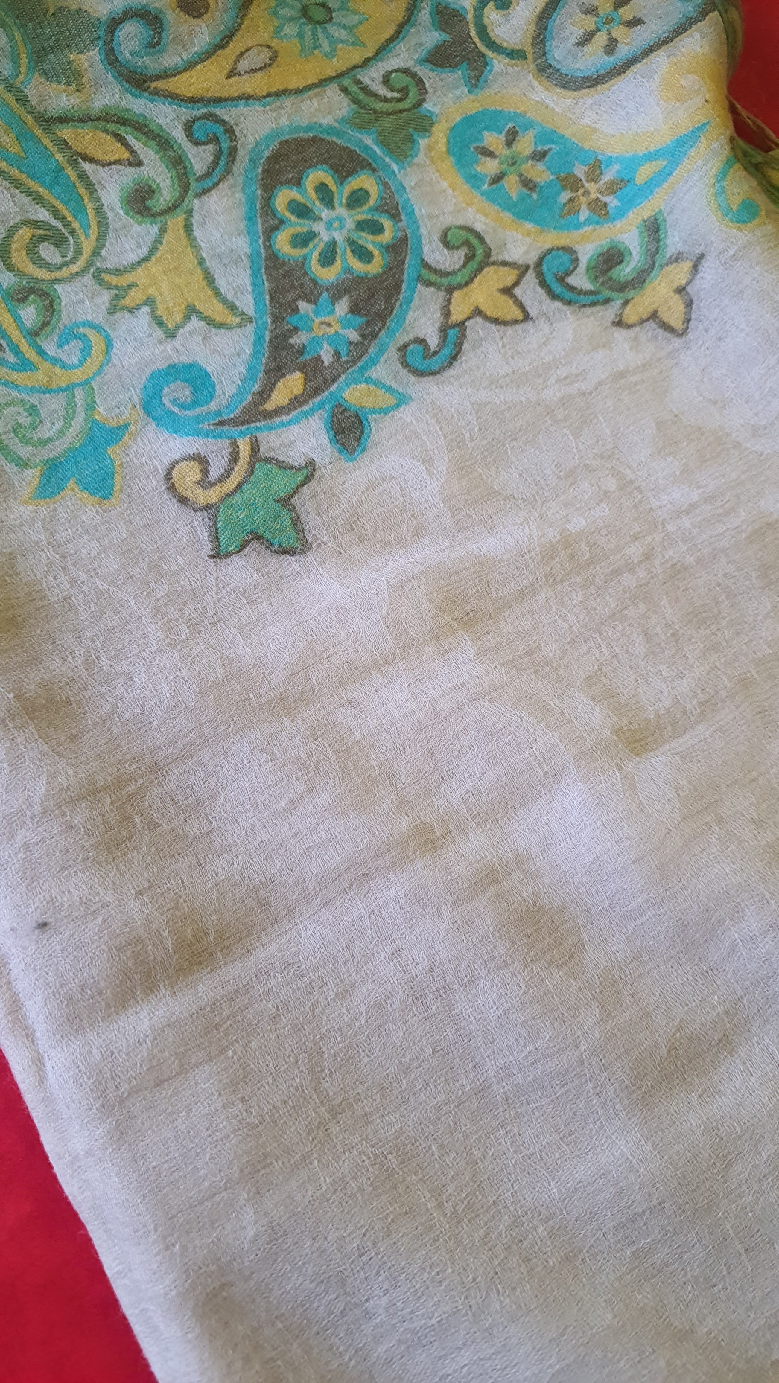 Women Pashmina Stole Self Textured