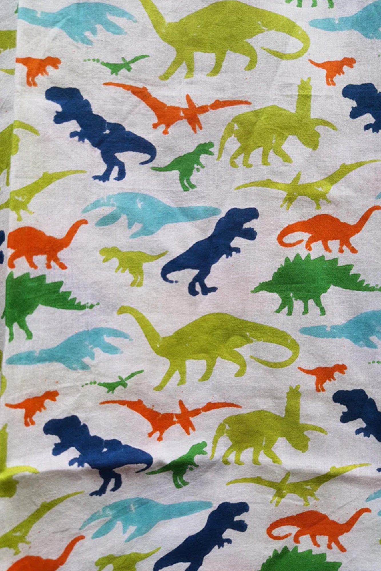 Green Blue Dinosaur Boy Kurta