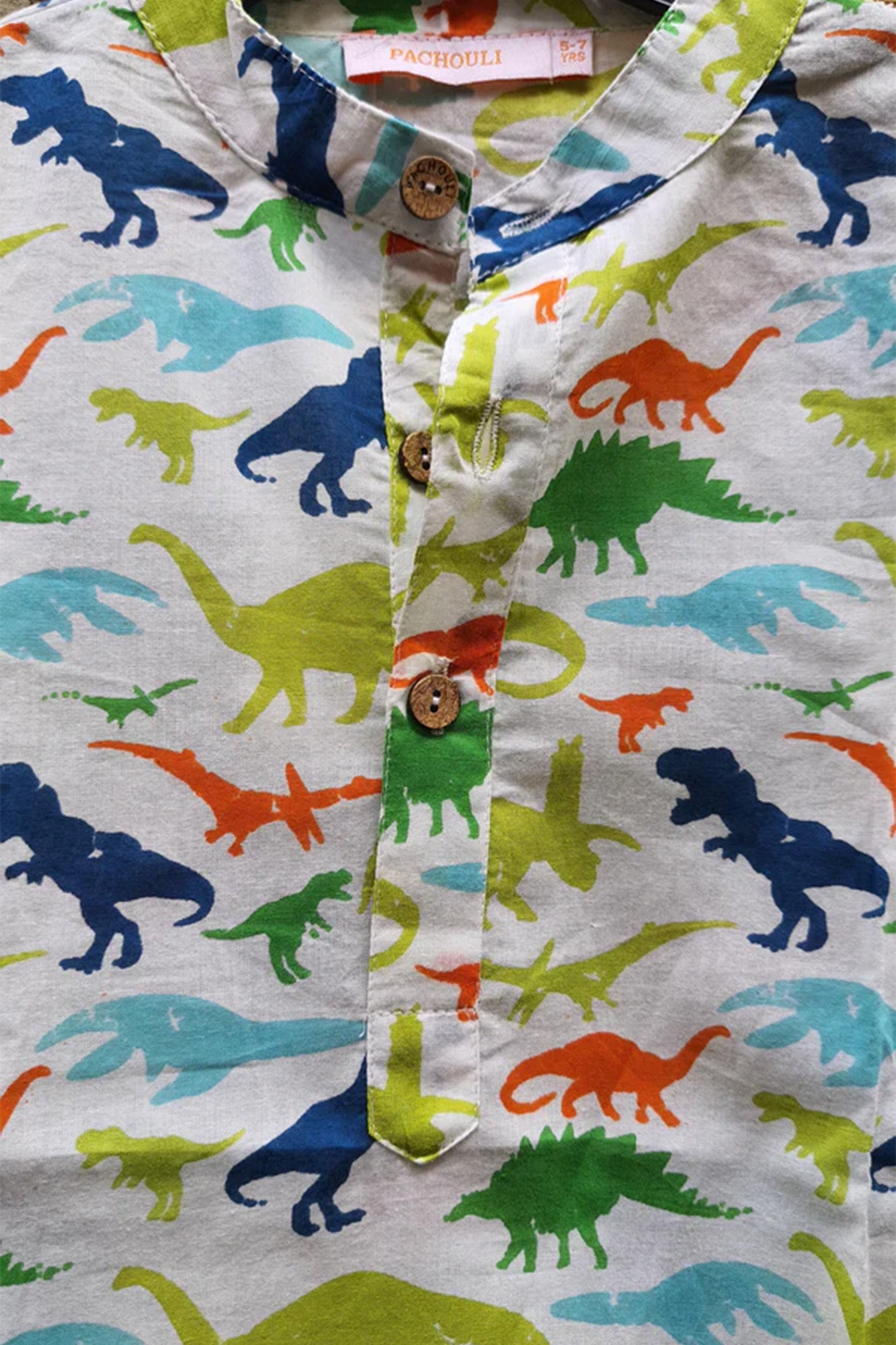 Green Blue Dinosaur Boy Kurta
