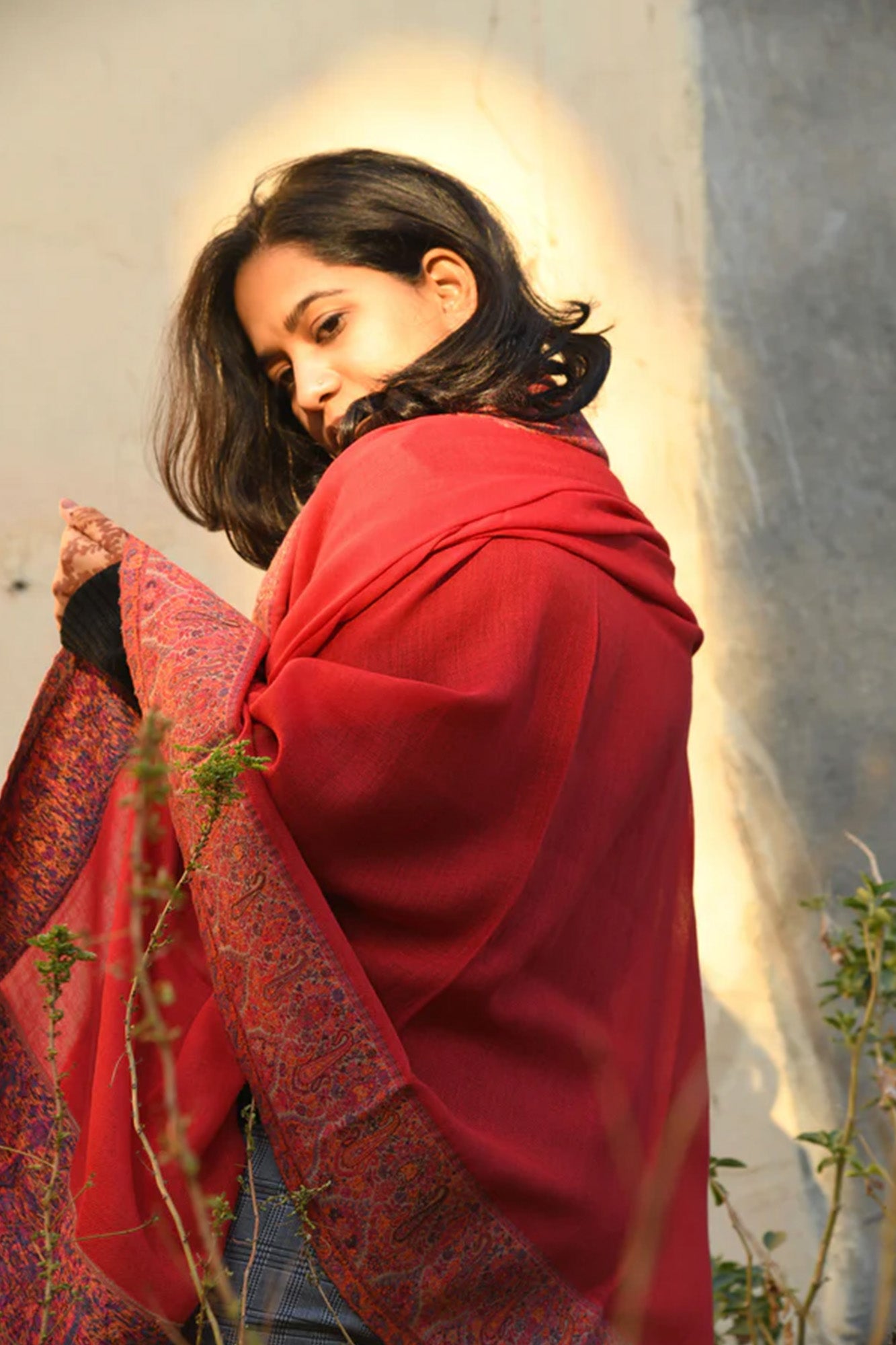 Women Pashmina Shawl-Border