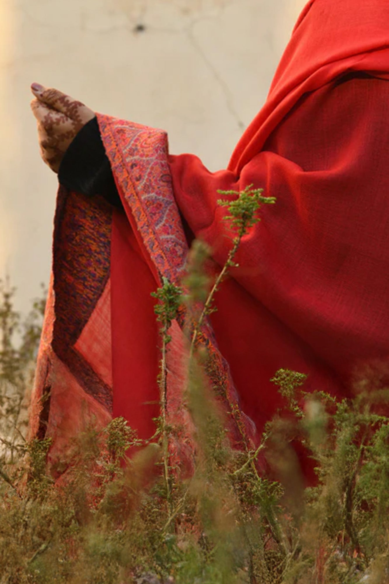 Women Pashmina Shawl-Border