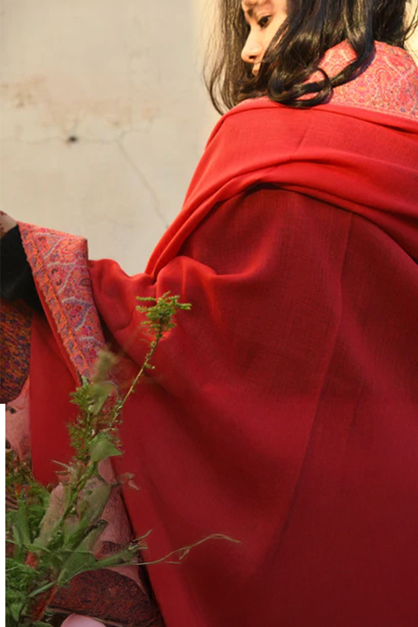 Women Pashmina Shawl-Border