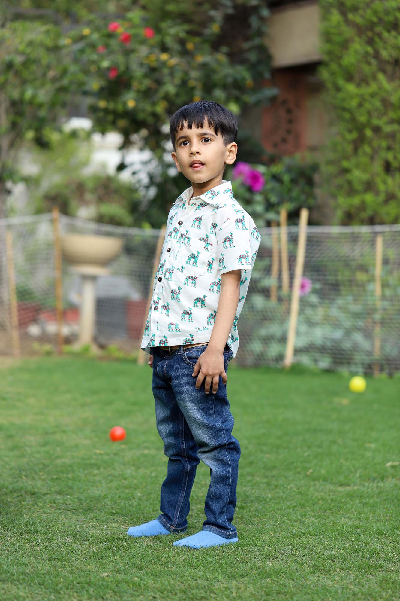 Boy Camel Green Shirt