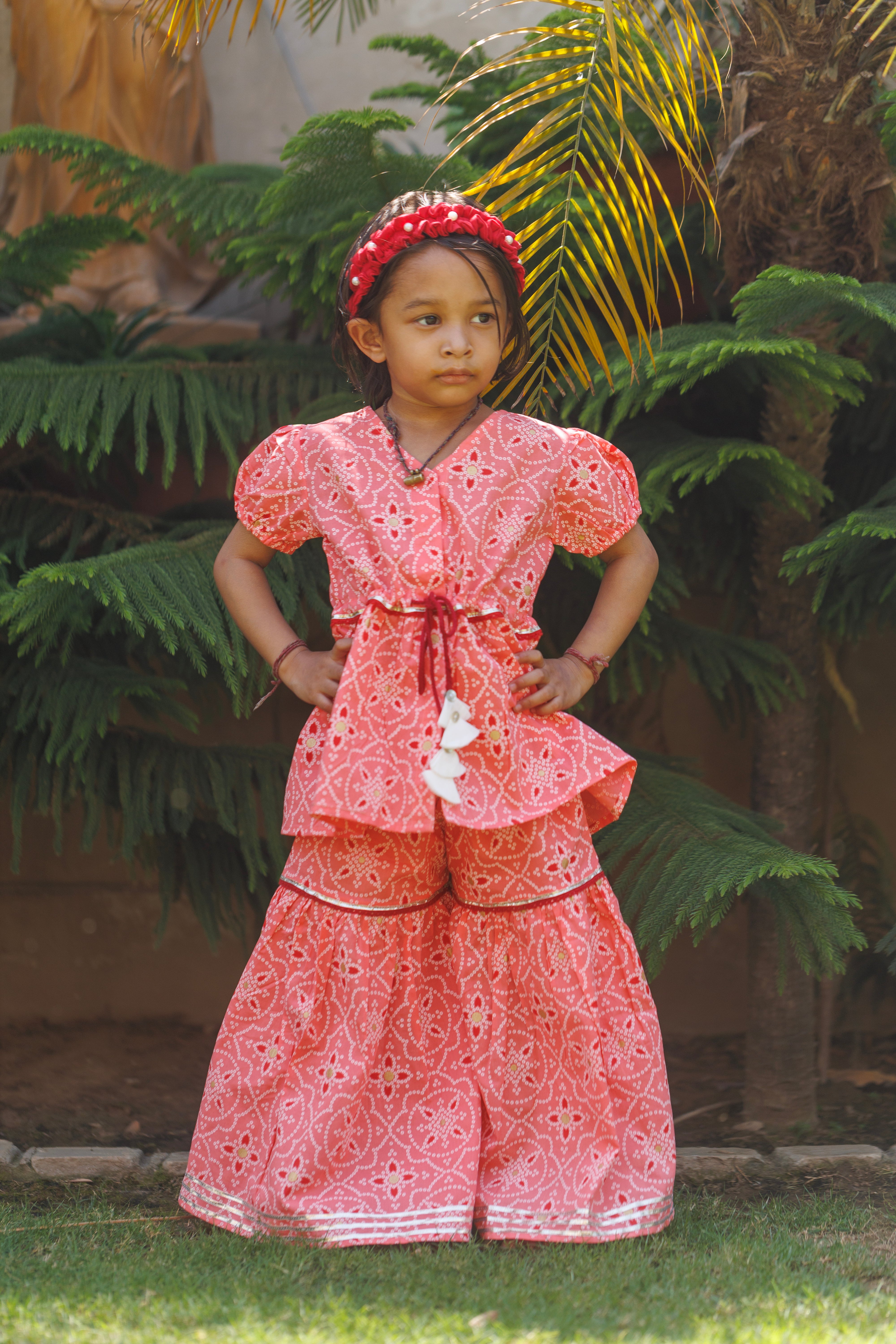 Bandhej Gulaal Sharara Set