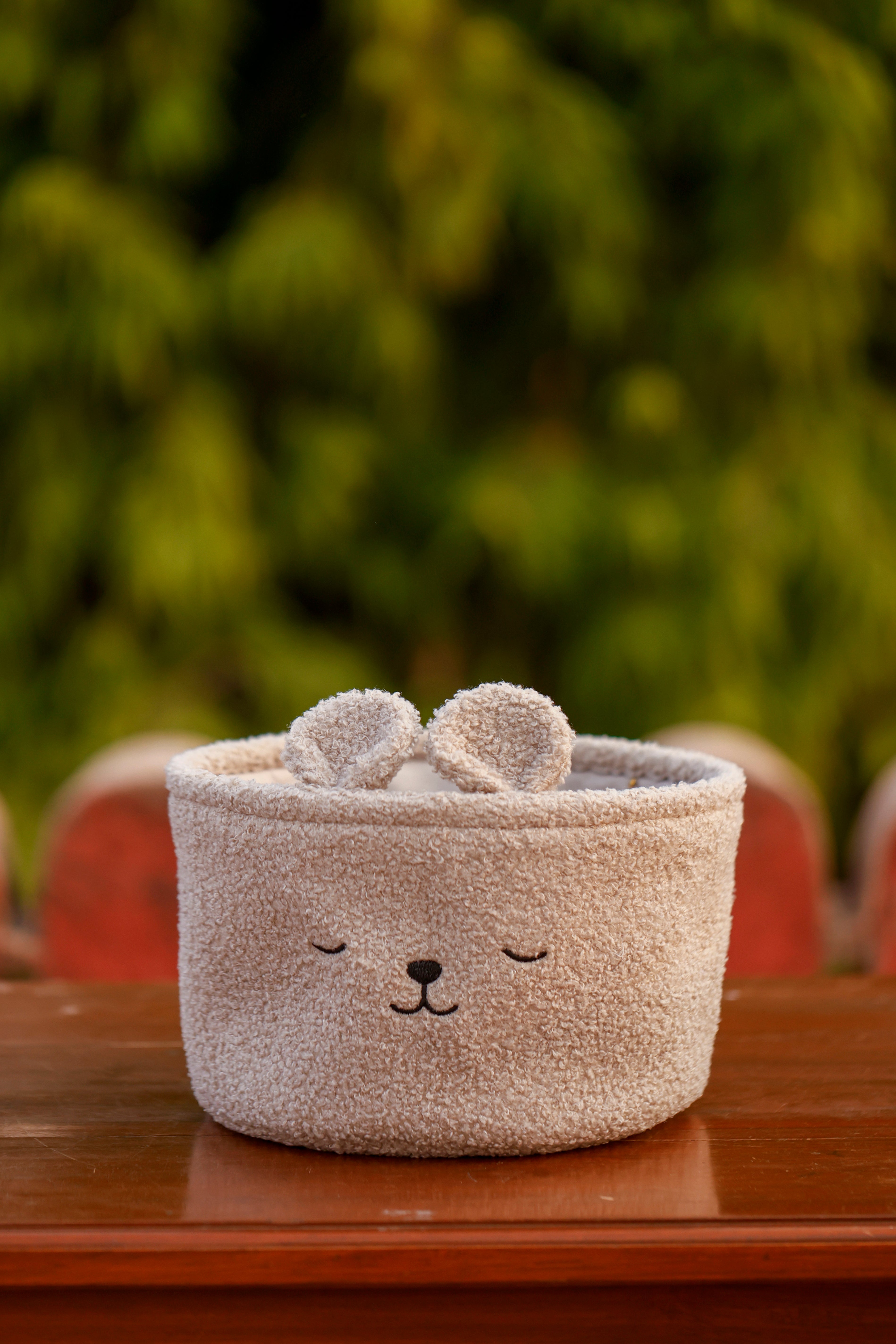 Basket Sleeping Teddy