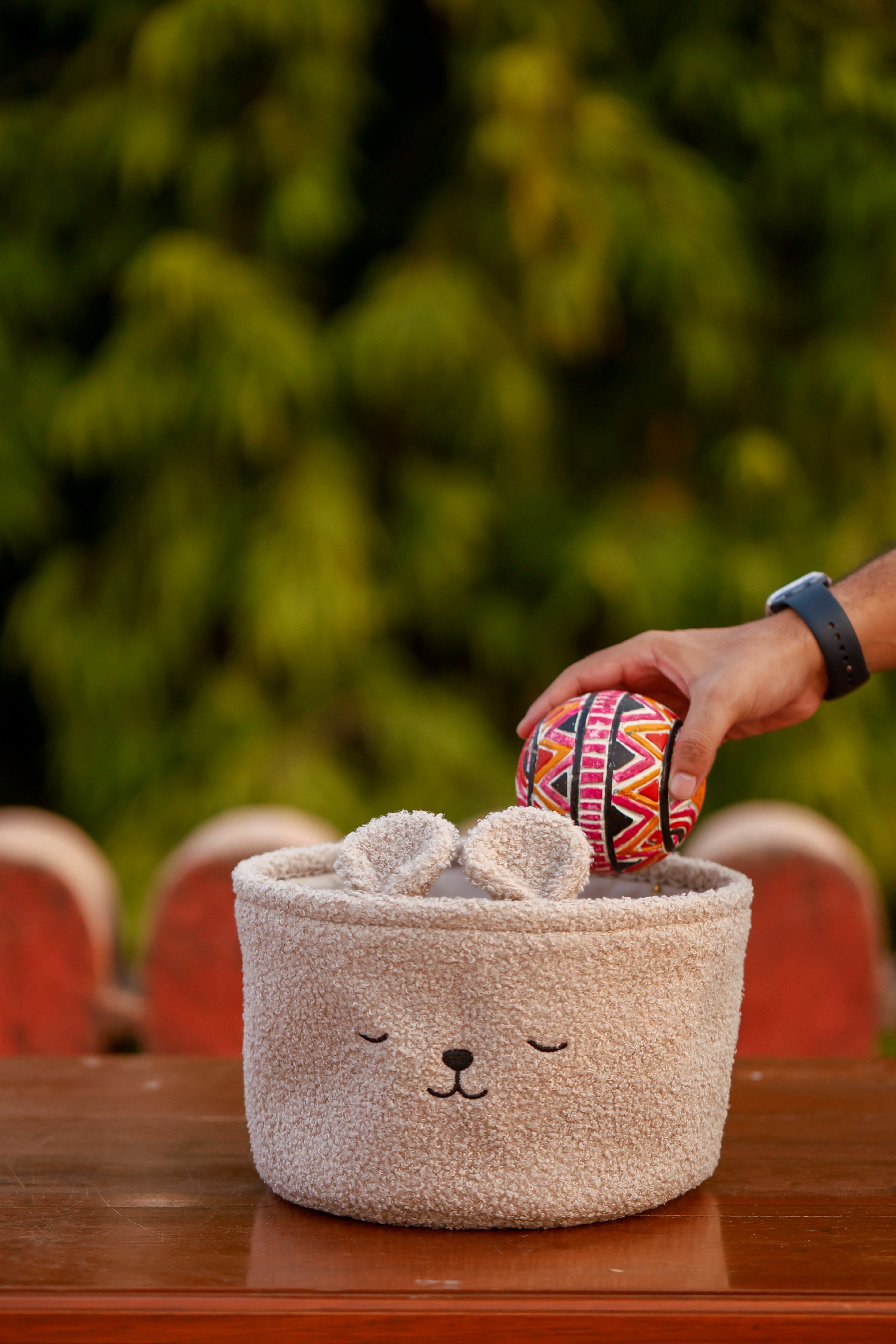 Basket Sleeping Teddy