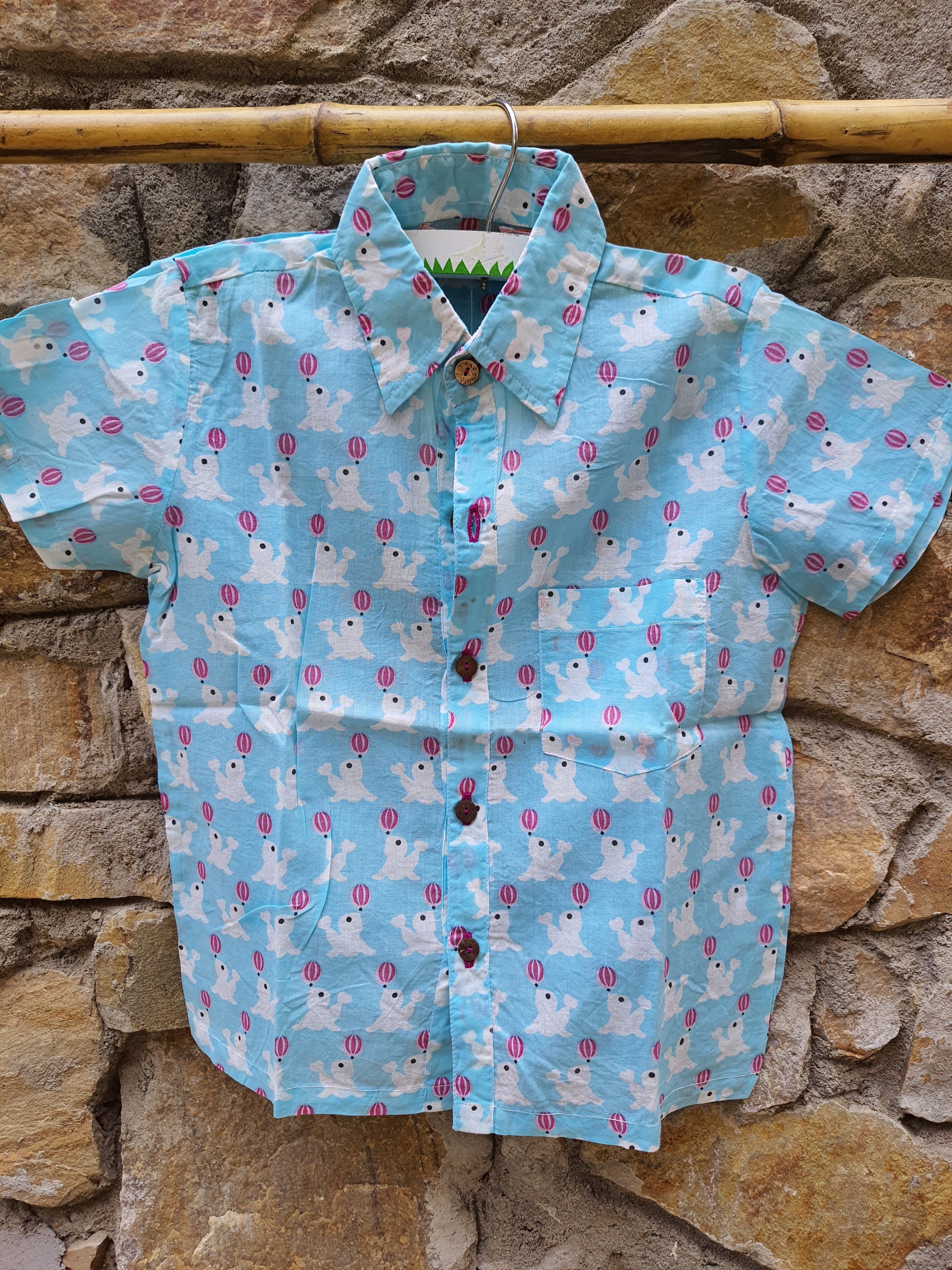 Boy Dolphin Blue Shirt