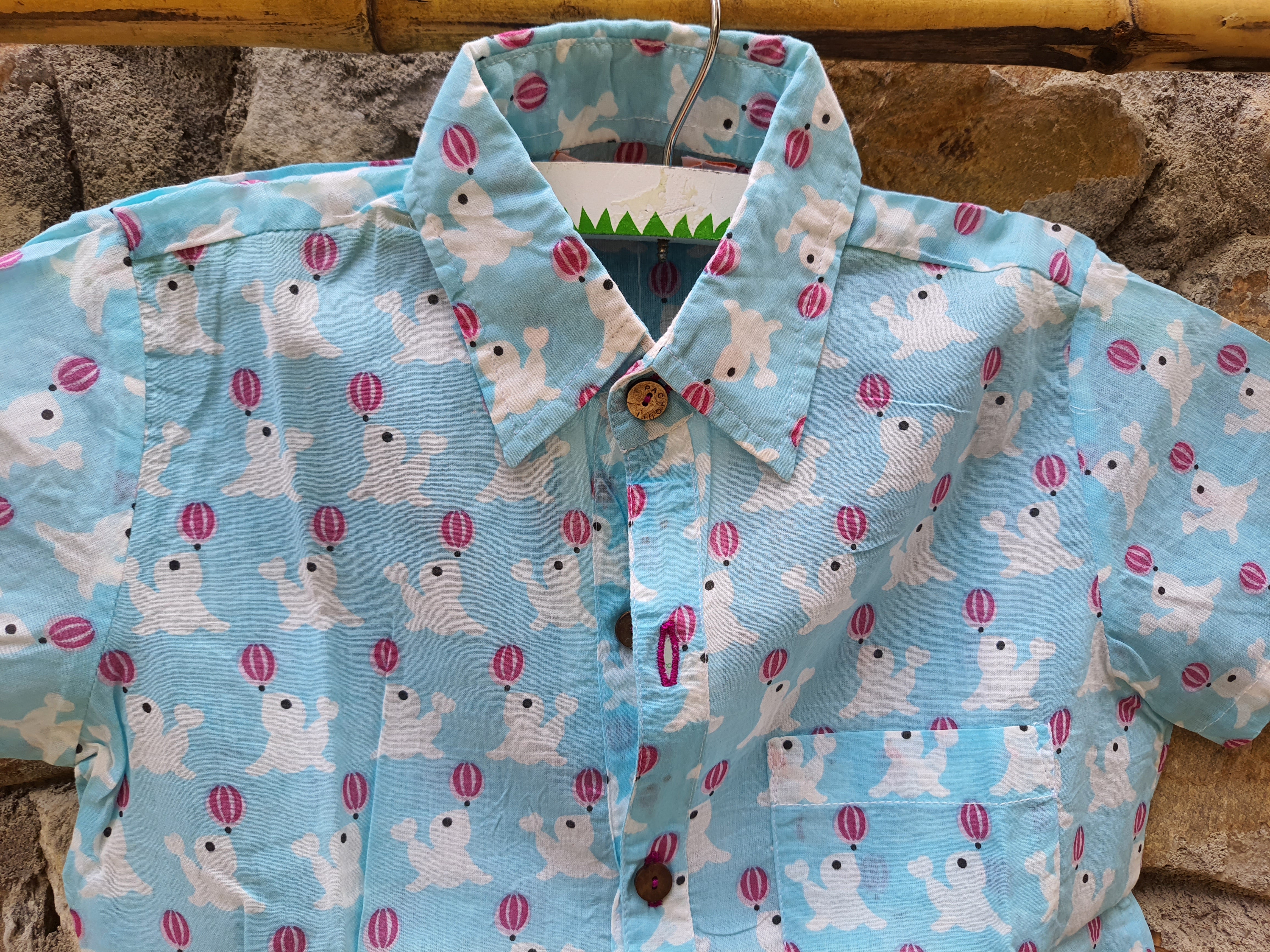 Boy Dolphin Blue Shirt