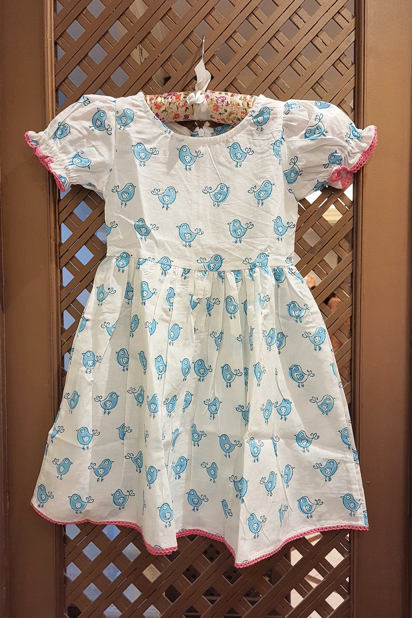 Blue Bird Frock