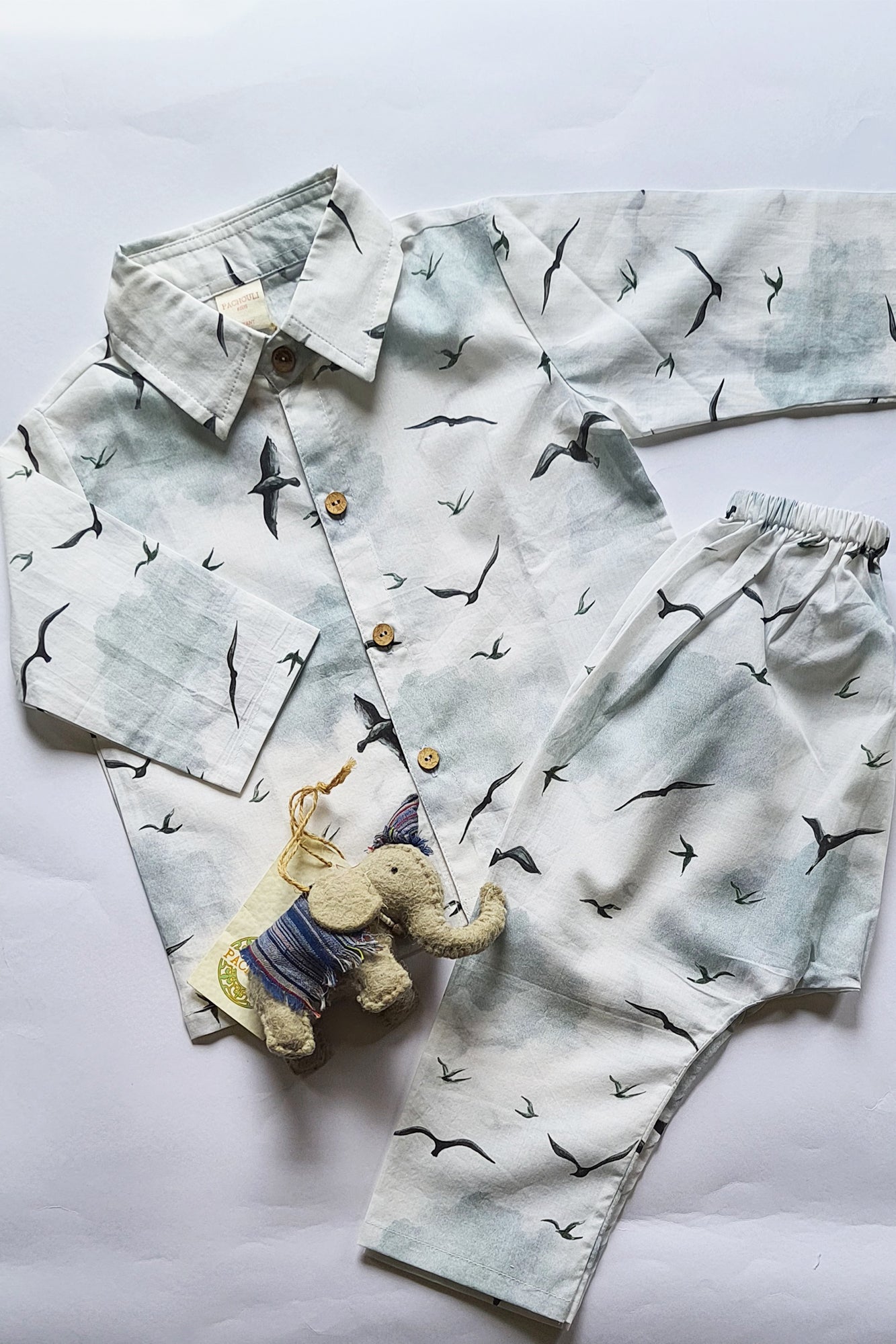 Flying Feline Shirt & Pajama Set