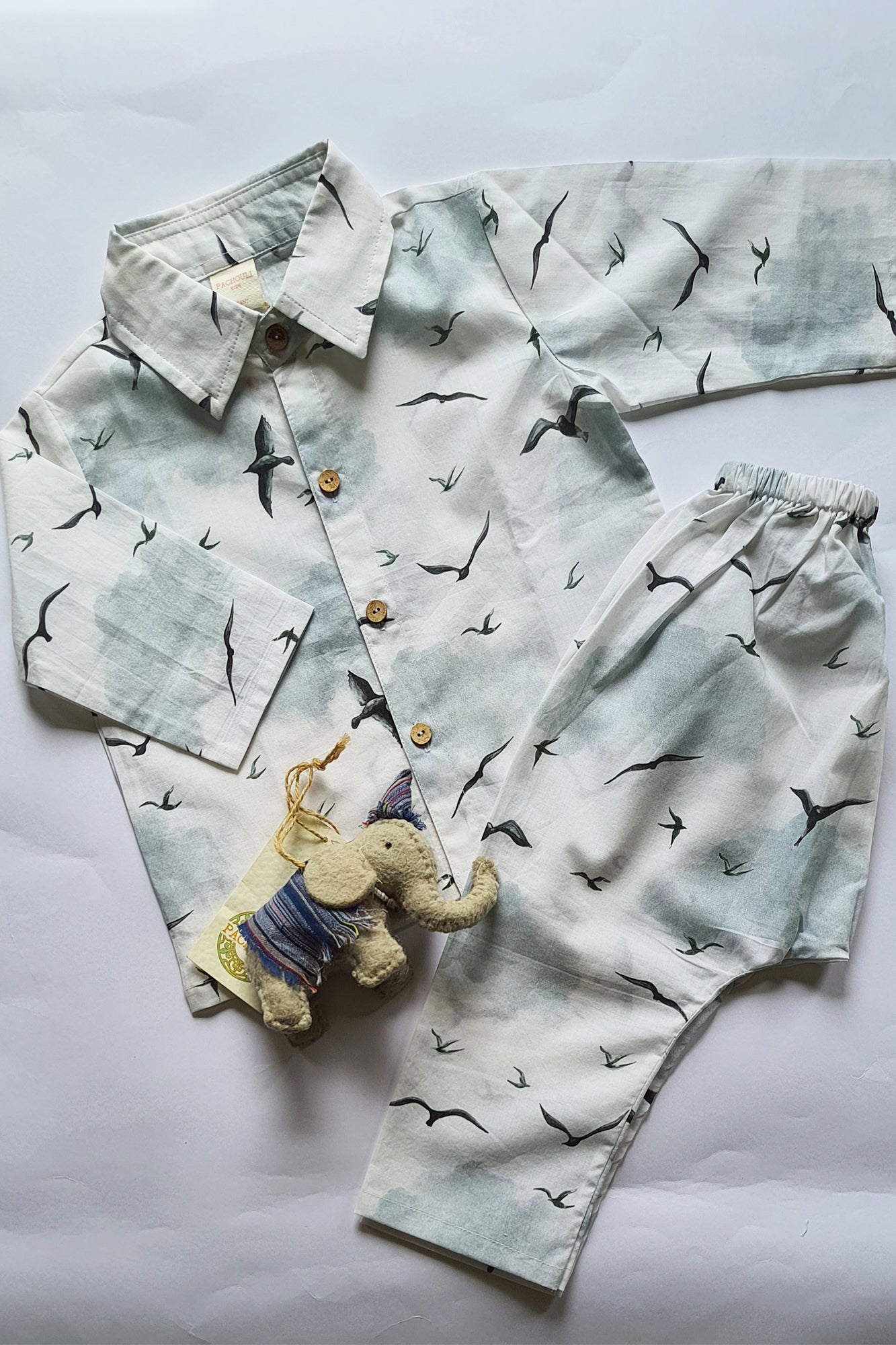 Flying Feline Shirt & Pajama Set