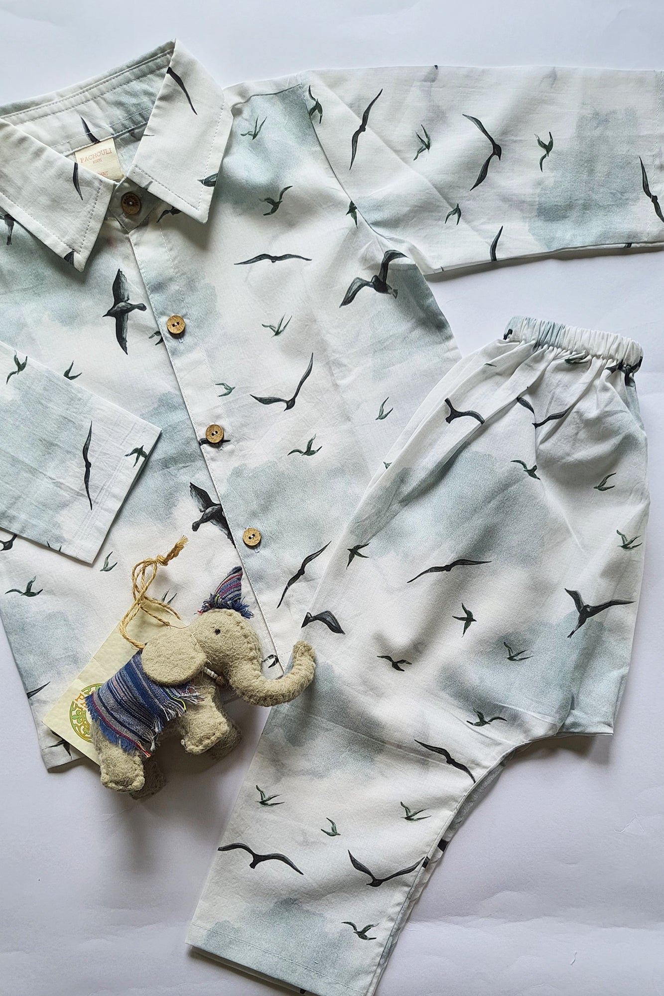 Flying Feline Shirt & Pajama Set