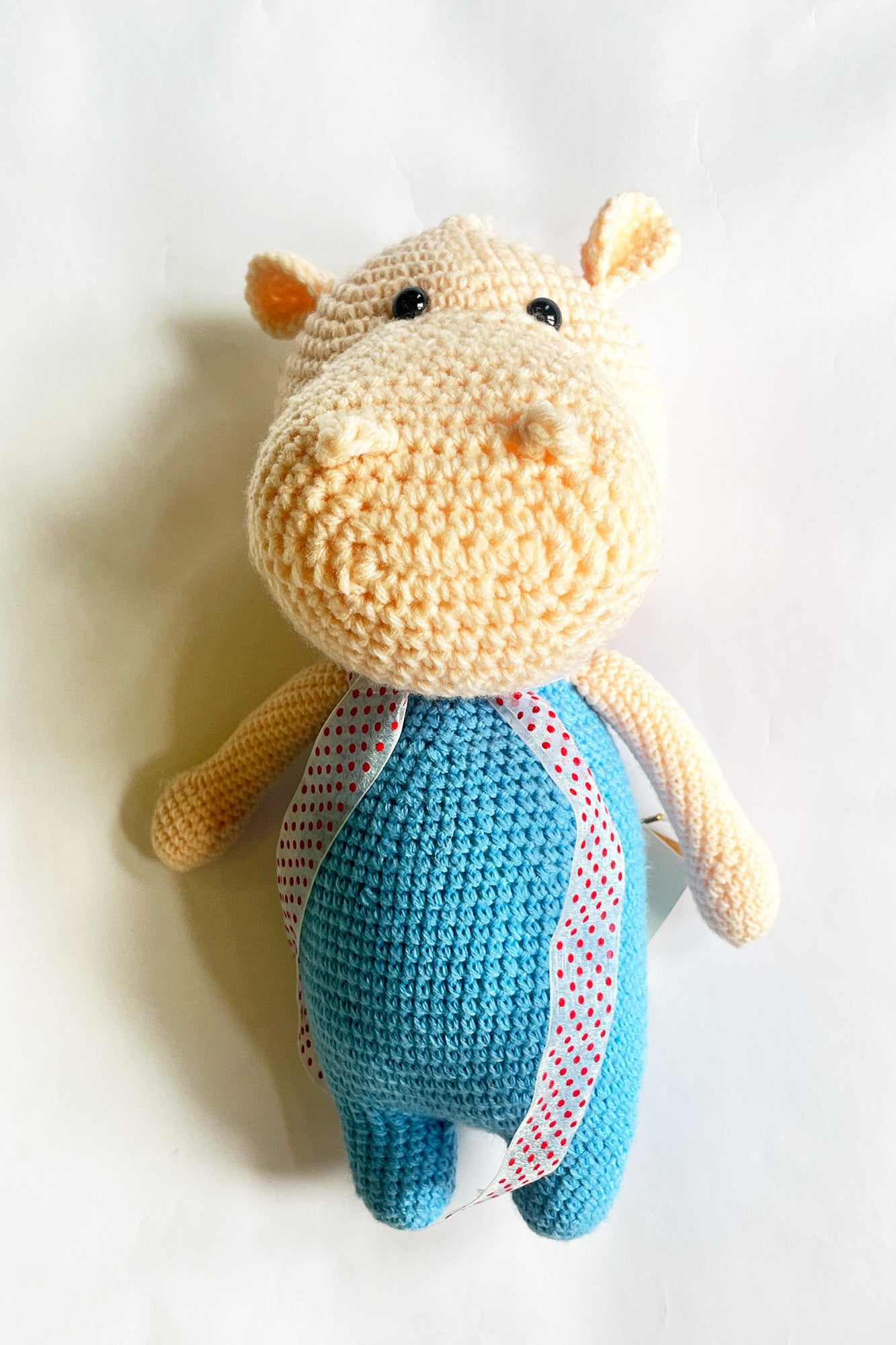 Rhinoceros Hippo