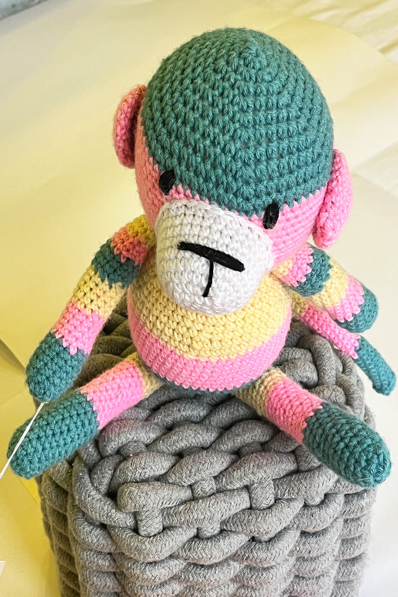 Multicolored Chimpanzee