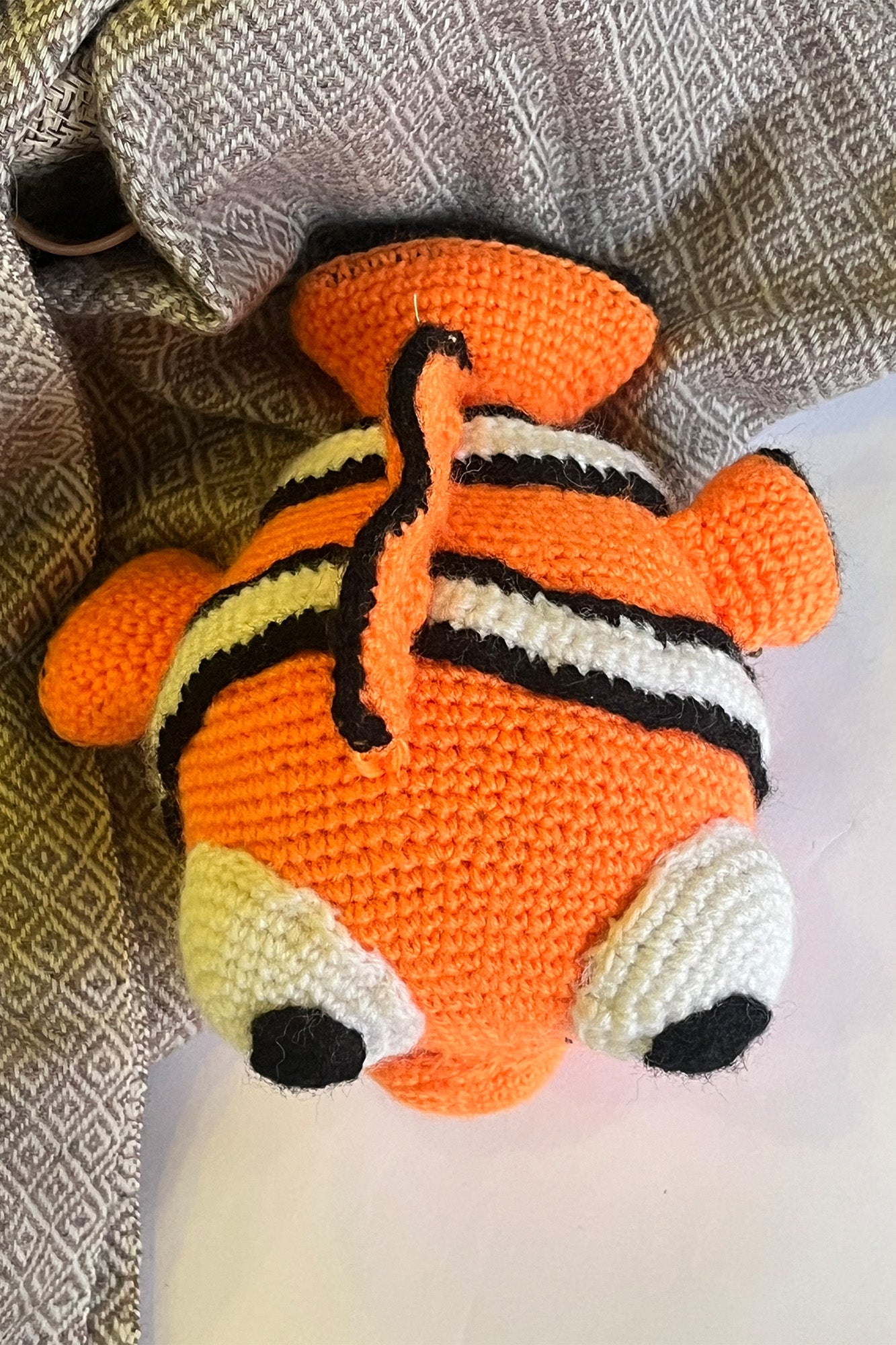 Nemo Fish