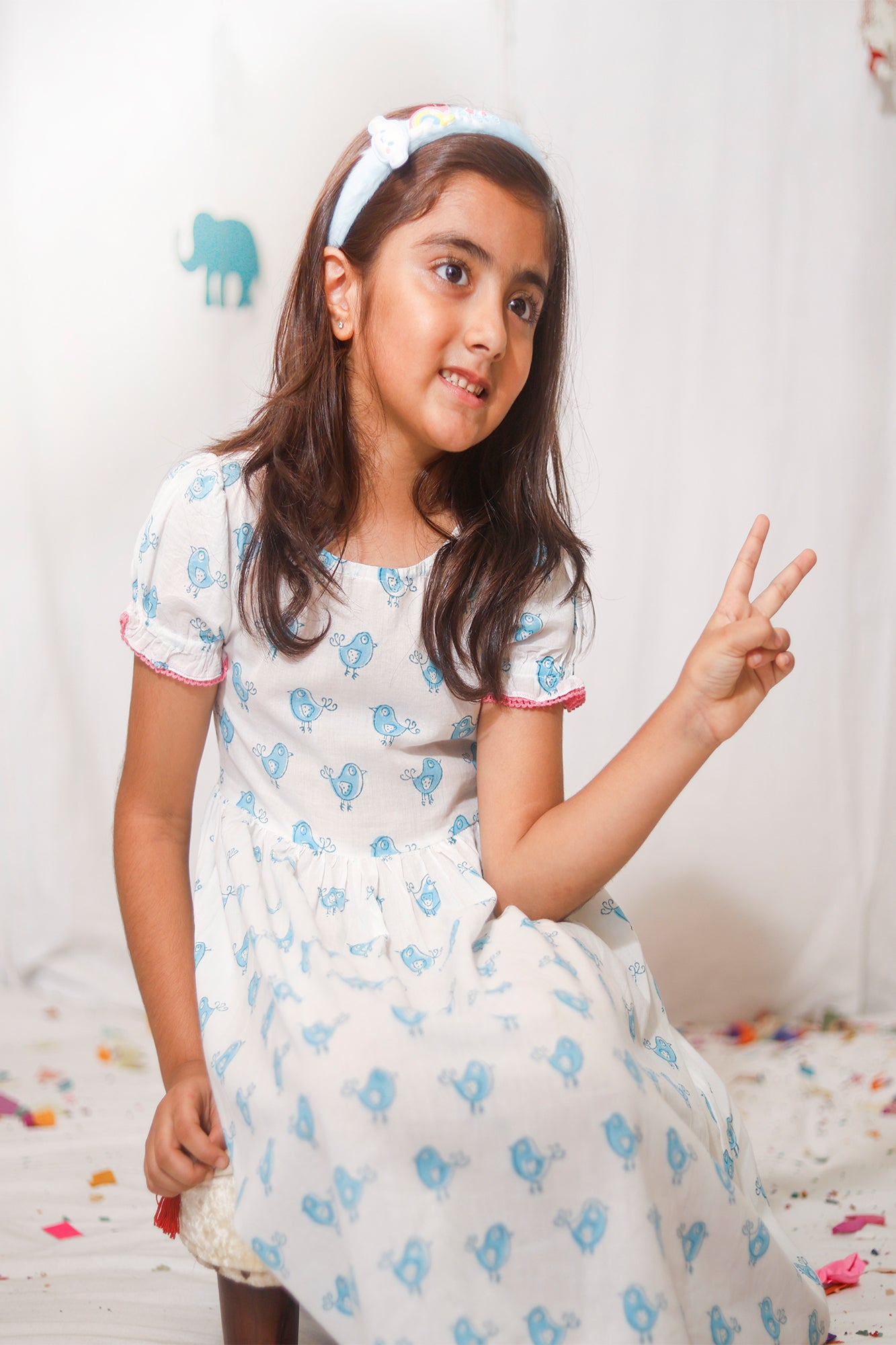 Blue Bird Frock