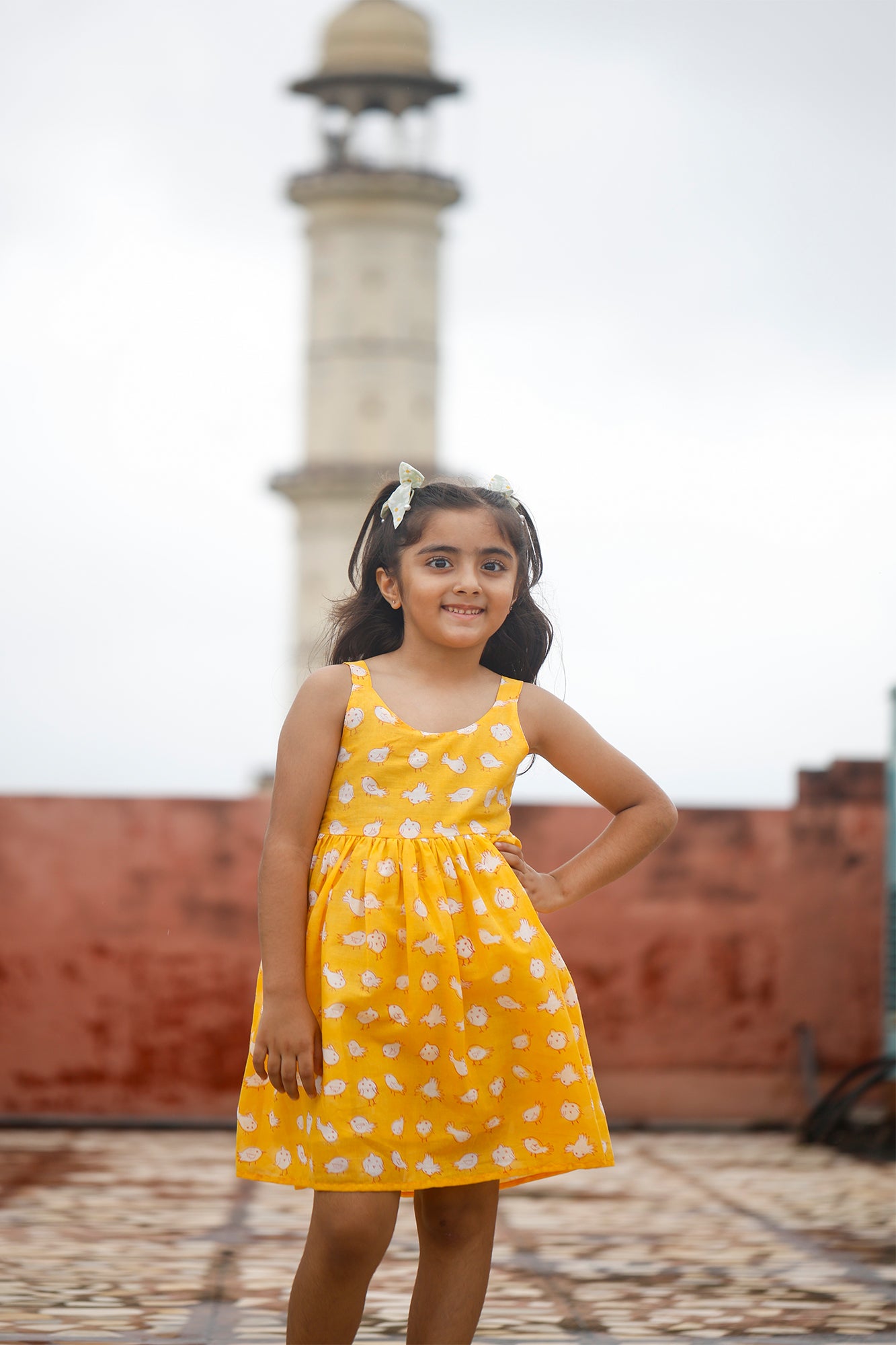 Chirpy Chick Frock