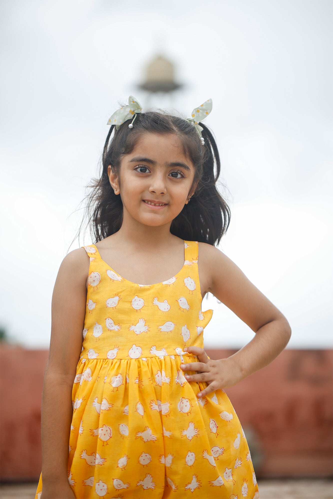 Chirpy Chick Frock