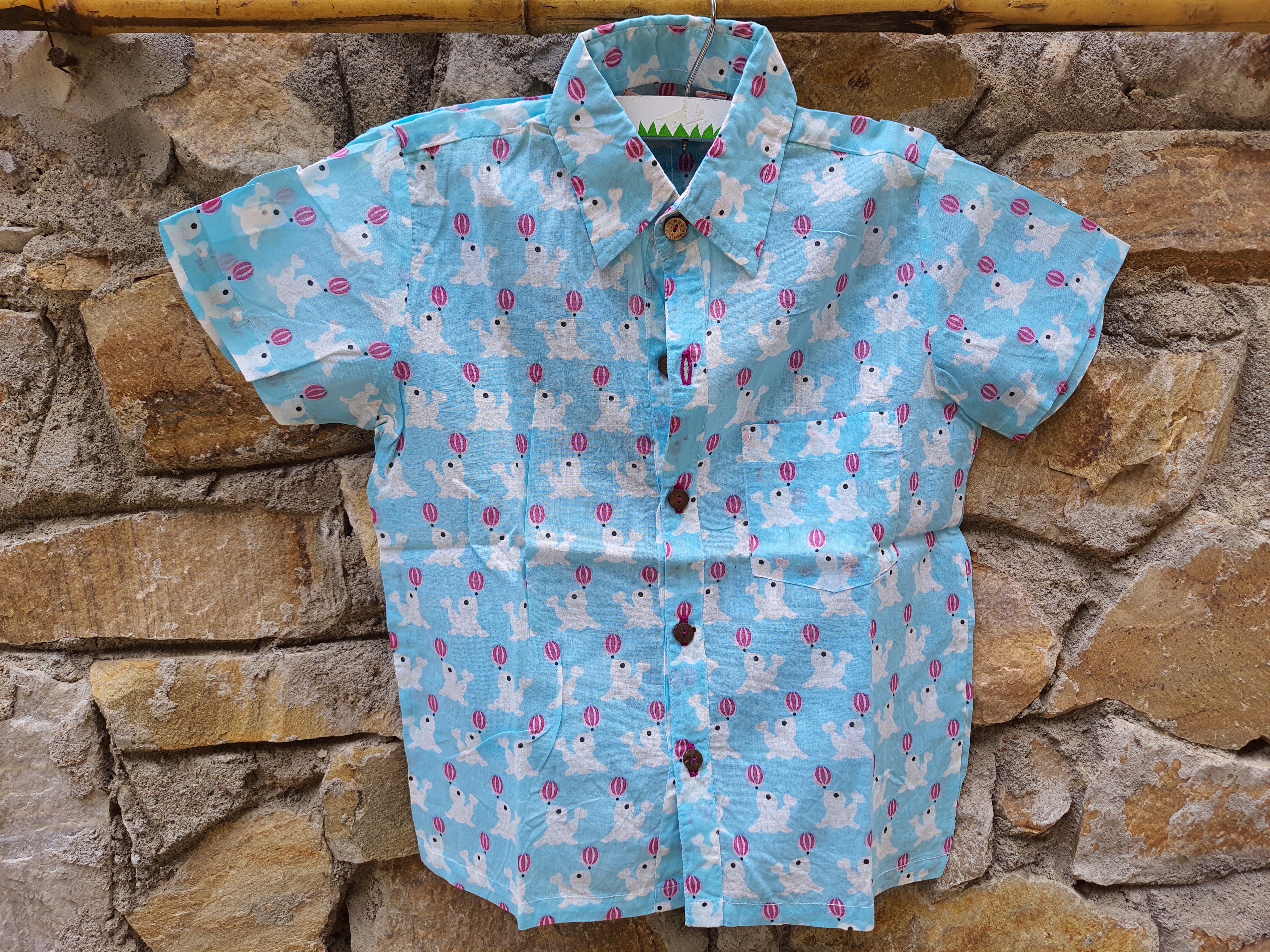 Boy Dolphin Blue Shirt