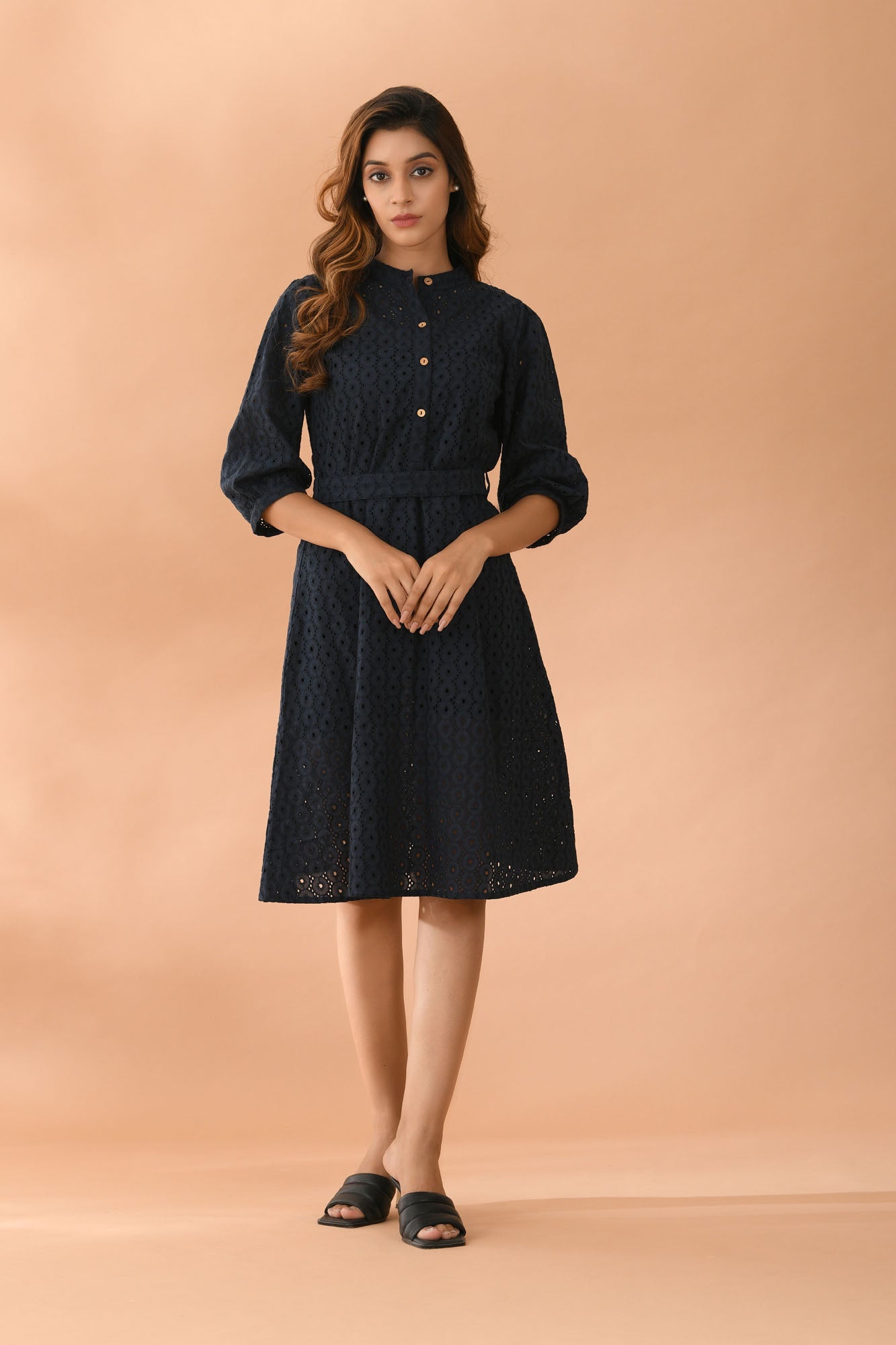 Women Blue Schifli Dress