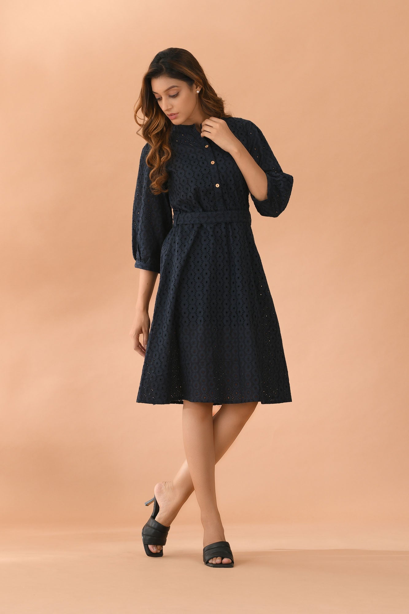 Women Blue Schifli Dress